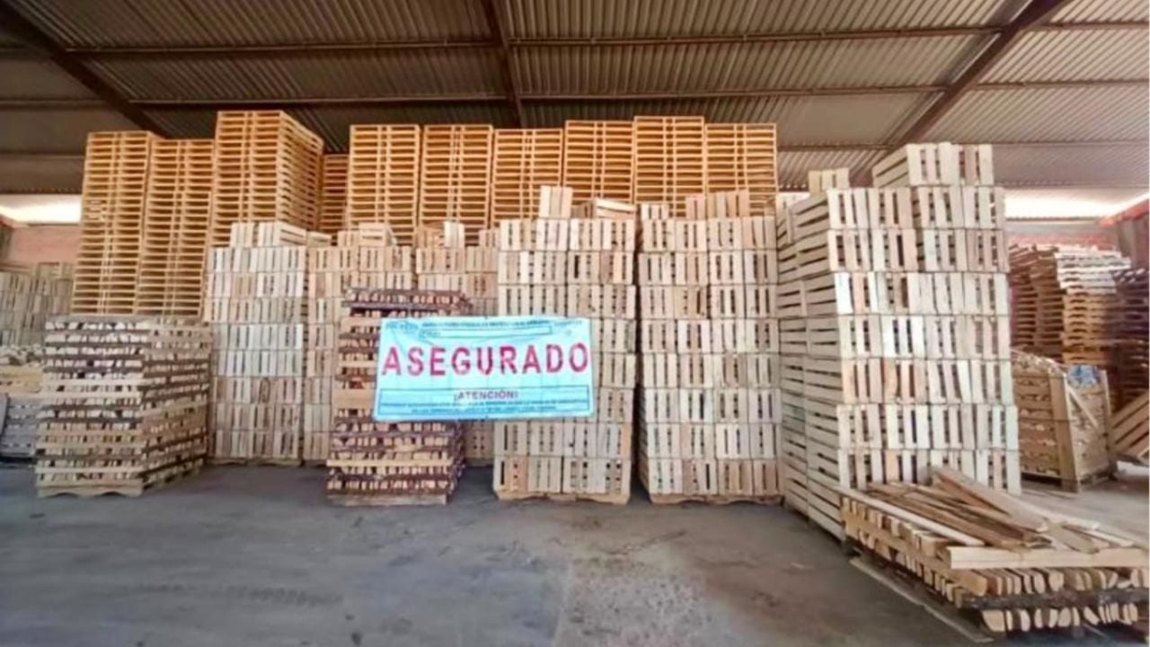 Autoridades realizan un operativo en Chignahuapan y Aquixtla, clausurando aserraderos ilegales sin documentación adecuada.