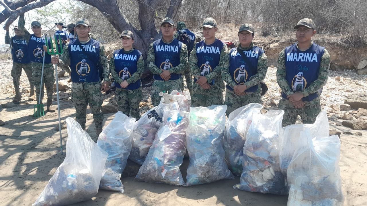 Más de 315 toneladas de basura han sido retiradas de los litorales en México bajo una nueva política ambiental.
